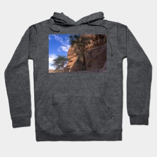 Madain Saleh Hoodie